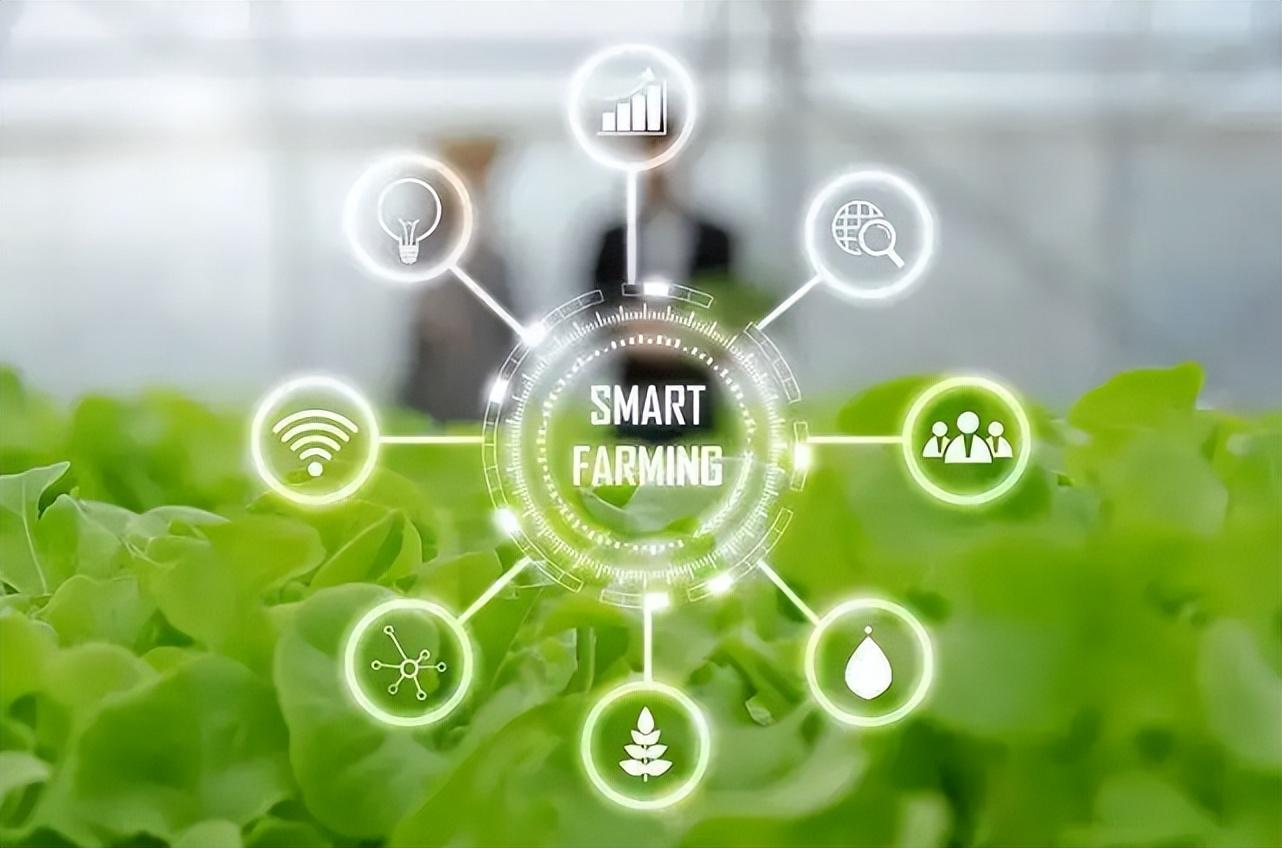 智慧農(nóng)業(yè)物聯(lián)網(wǎng)的未來(lái)在哪里？