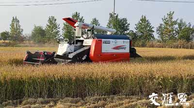 移動(dòng)物聯(lián)網(wǎng)應(yīng)用①｜手機(jī)上種田，無(wú)人化種田！智慧農(nóng)場(chǎng)“智”在哪？