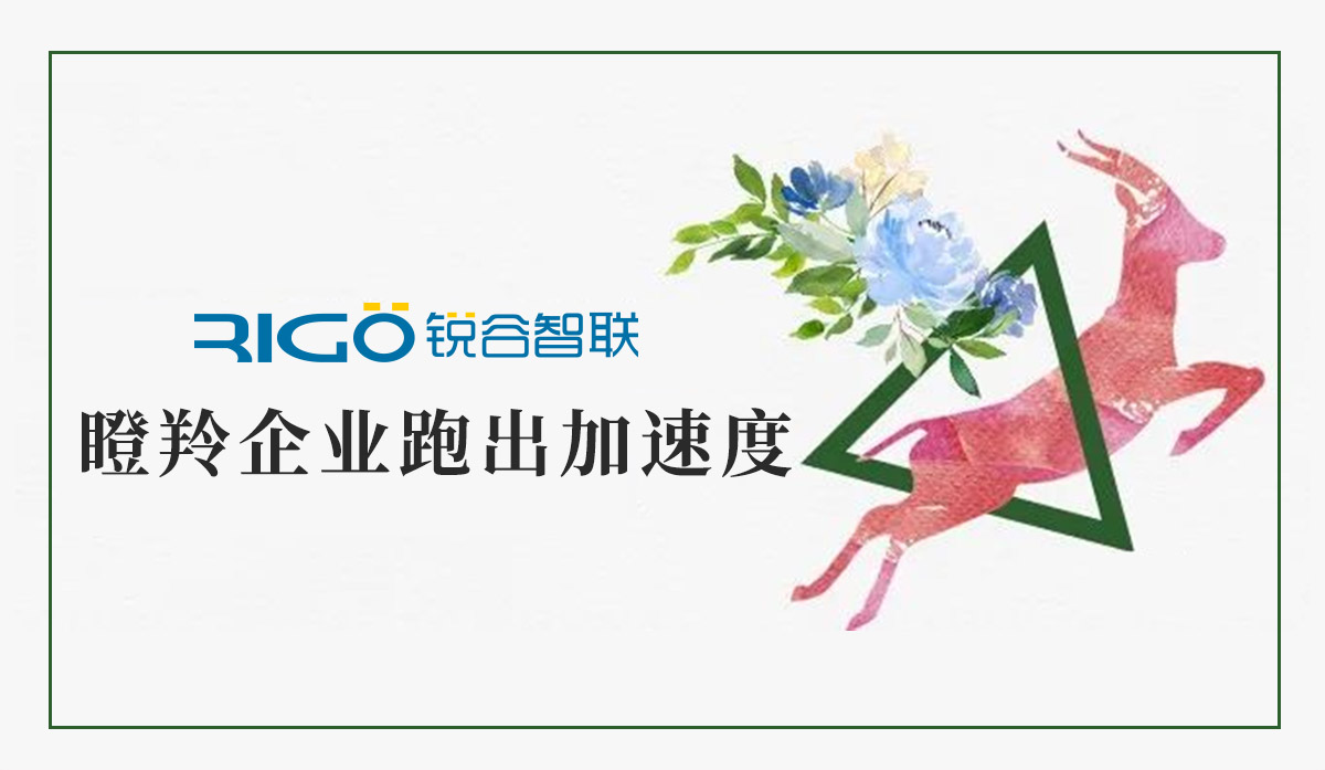 火炬高新區(qū)助力“瞪羚”企業(yè)跑出加速度，超半數(shù)分布廈門(mén)軟件園